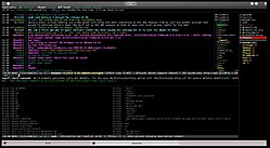 Bildschirmfoto von WeeChat (mit installierten Skripten und Erweiterungen)