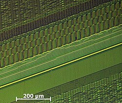 Recording of single magnetisations of bits on a 200&nbsp;MB HDD-platter (recording made visible using CMOS-MagView)[64]