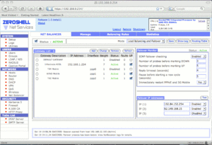 Netbalancer.gif